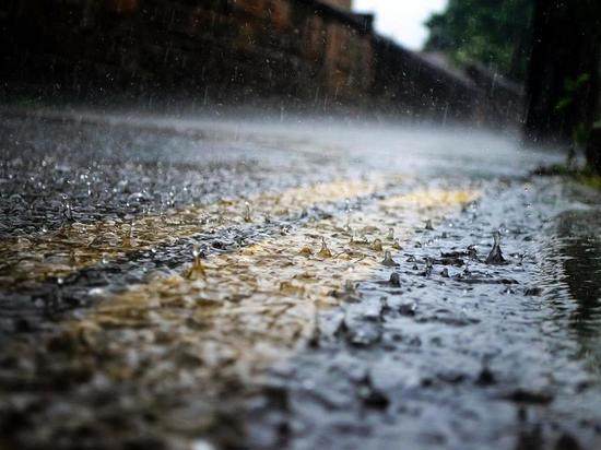 Тоска и уныние: в Марий Эл ожидаются дождливые выходные