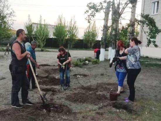 Читинцы высадили 115 дубов, елей и роз в честь юбилея Черновских копей