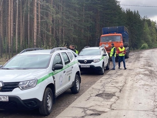 Экомилиция остановила шесть нарушителей за незаконную перевозку мусора в Мяглово