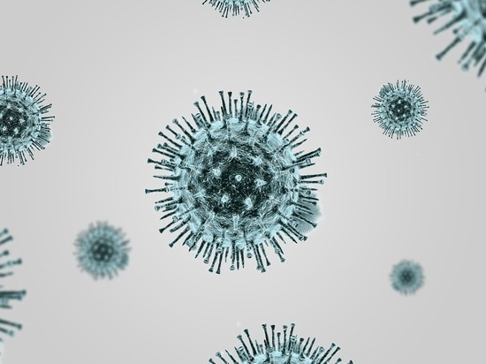 В Карелии по данным на 29 мая 62 зараженных коронавирусом