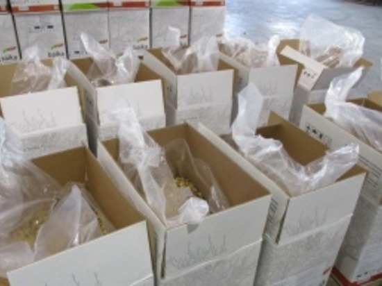 Калининградский Россельхознадзор проверил почти 220 тонн продукции из Китая в 2022 году
