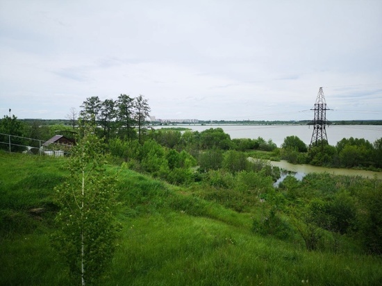 В Притамбовье в пруду нашли тело погибшего мужчины