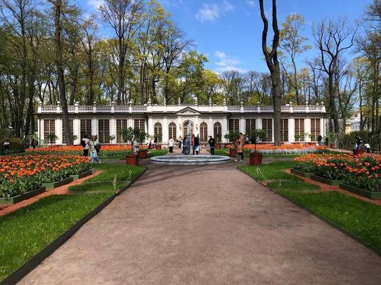 Тепло и дожди: какая погода будет в Петербурге с 30 мая по 5 июня