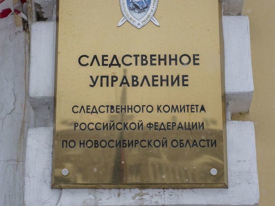 СК в Новосибирске начал проверку после избиения ребенка в ЖК «Марсель»