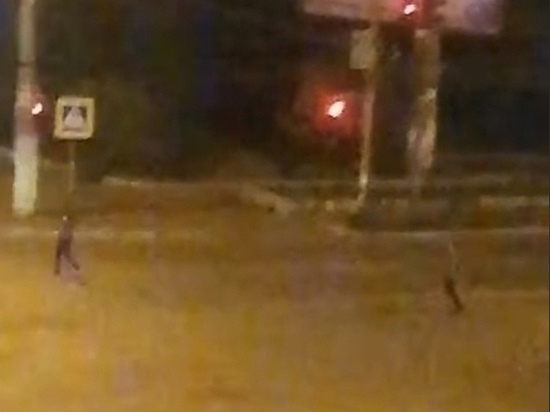 Бегавшую по дороге в центре Читы девушку доставили в больницу