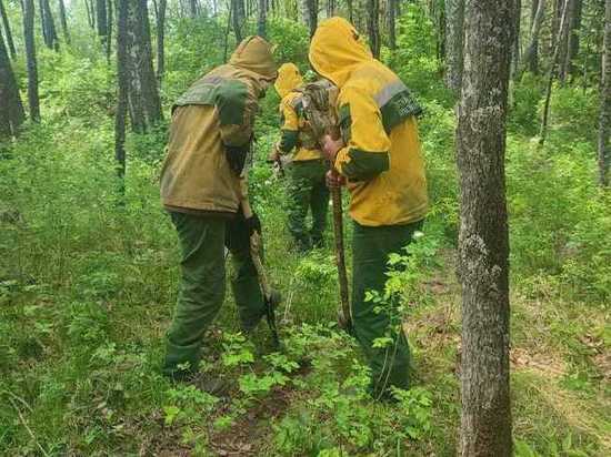 30 лесных пожарных дополнительно направили на тушение пожара в окрестностях Дивногорска