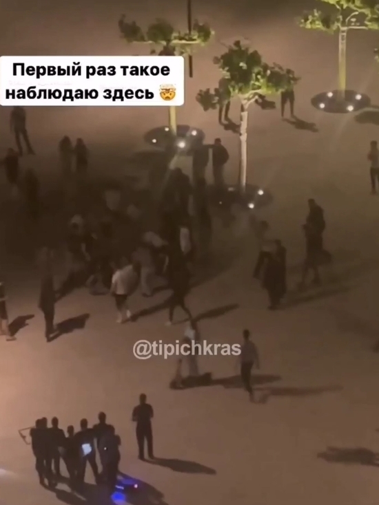 Массовая драка мужчин в парке Галицкого попала на видео
