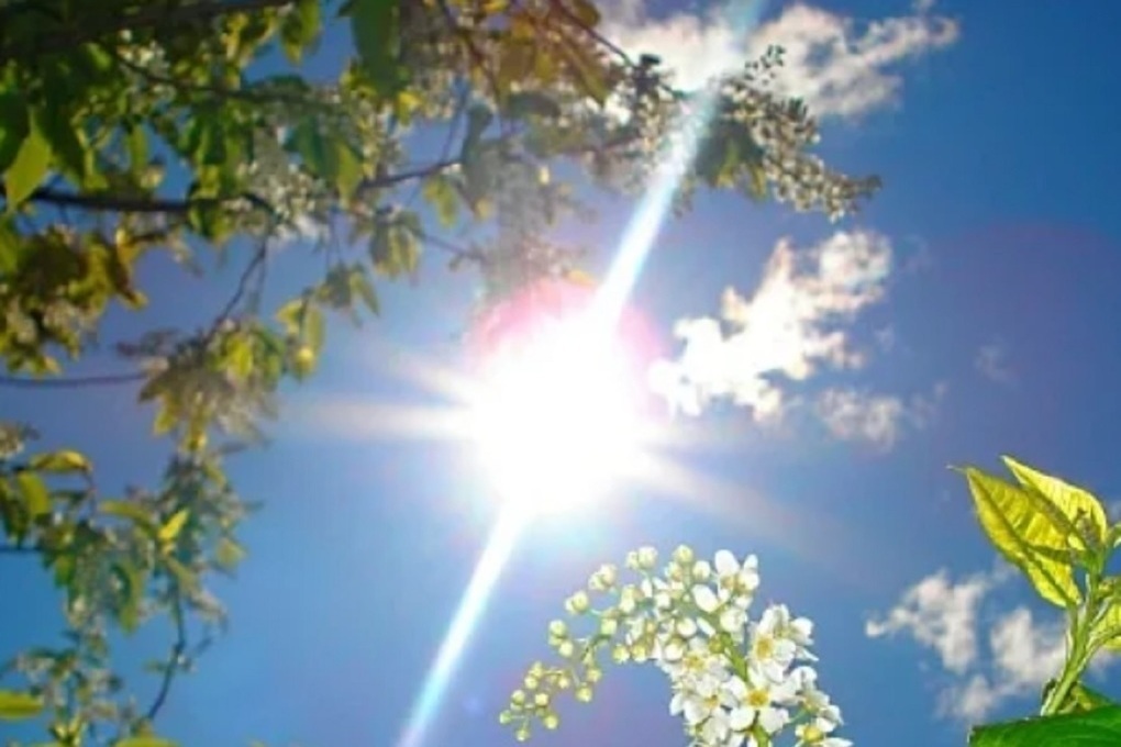 Лето с понедельника: в Костроме предстоящая неделя будет теплой