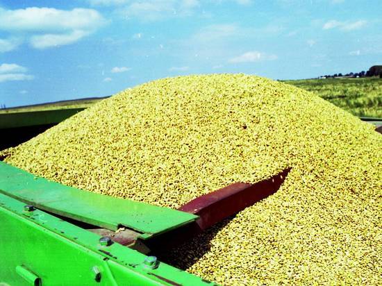 Россия на минувшей неделе увеличила экспорт пшеницы почти на 8%
