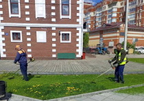 На придорожных газонах Йошкар-Олы работники МУП «Город» подстригают траву.