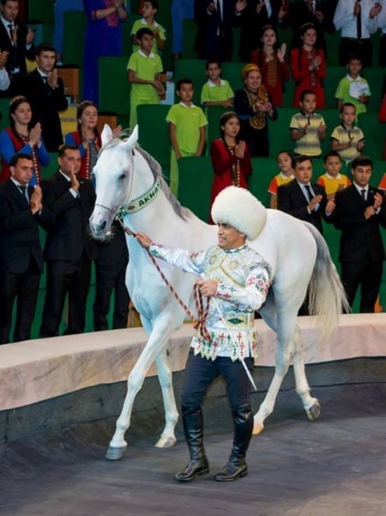 Экс-президент Туркменистана Бердымухамедов предложил назвать городской проспект в честь своего коня