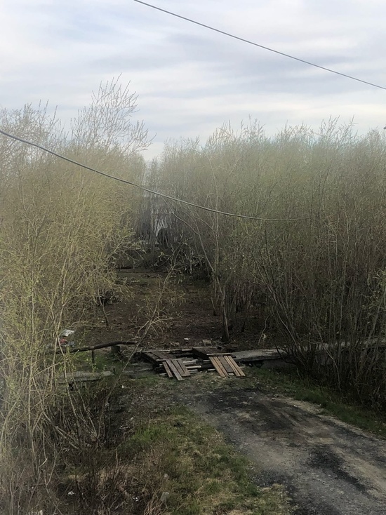 В Лабытнанги небольшой лесок вырубили ради удобного проезда