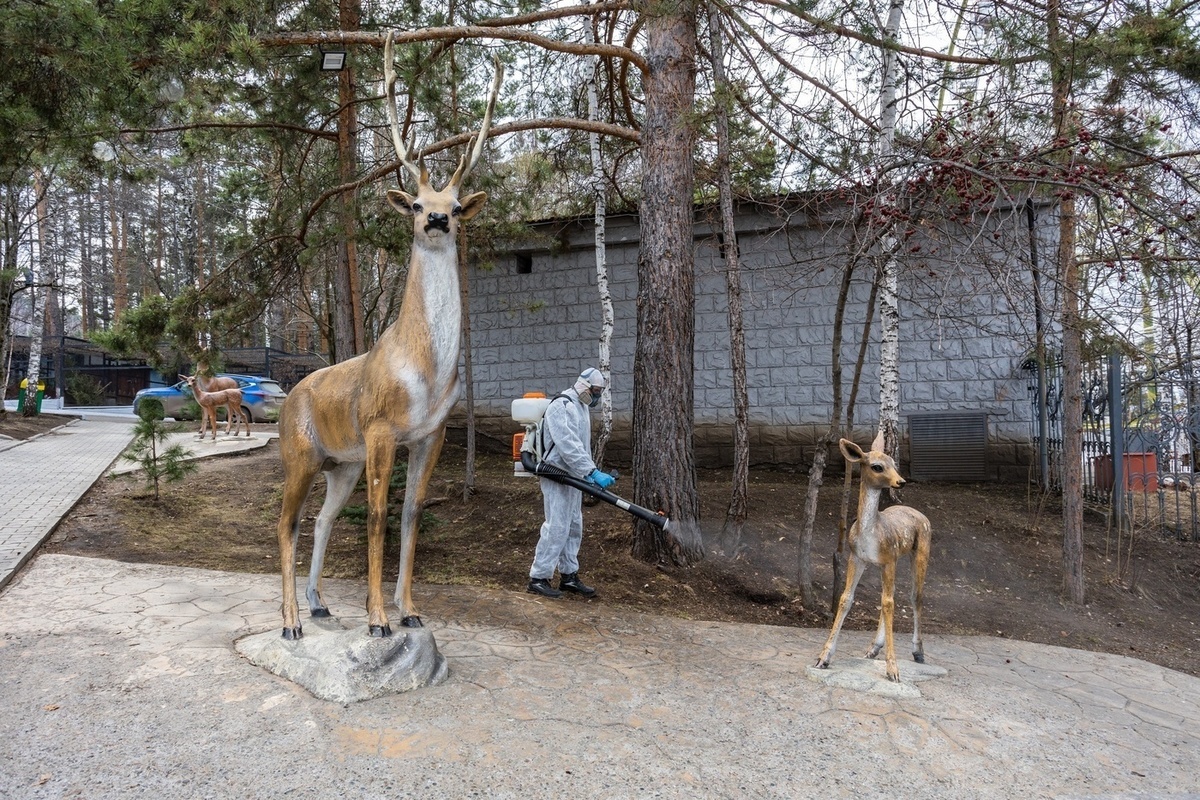 зоопарк в красноярске