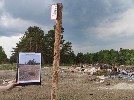 Чиновников из пригорода Красноярска активисты уличили в «фотофокусах» со свалкой