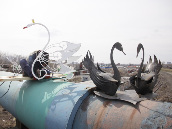 Птицы с историей: лебеди с моста на Новом рынке «улетят» в барнаульский парк