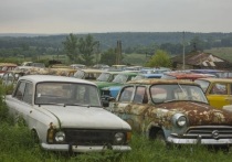 Алтайский край стали вторым регионом России по число владельцев автомобилей «Москвич»