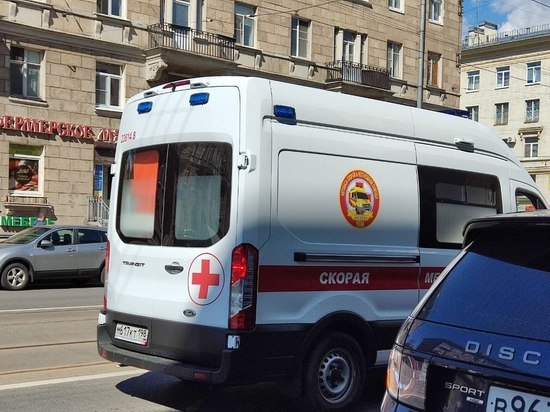 Сотрудника пресс-службы партии «Яблоко» избили в Петербурге