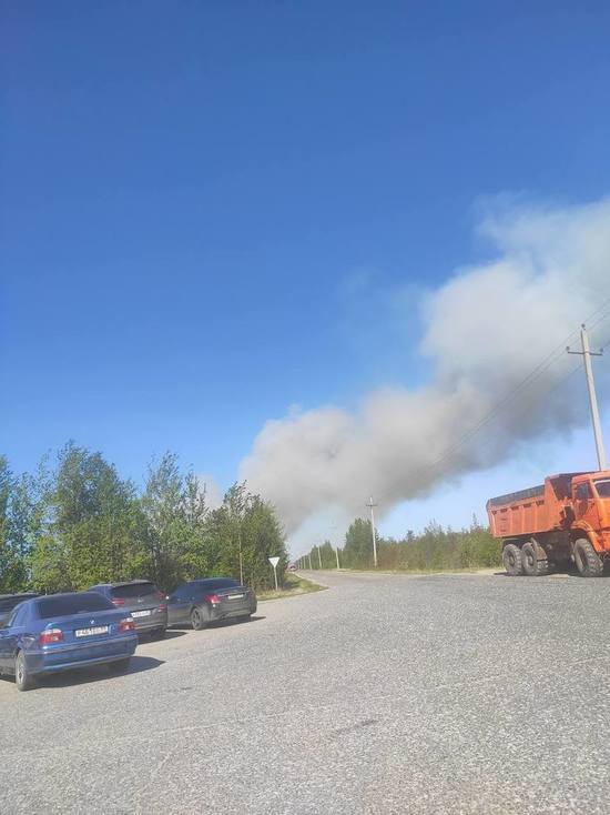 В Ноябрьске полыхает мусорный полигон