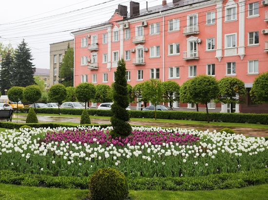 Мэр Ставрополя доволен темпами озеленения