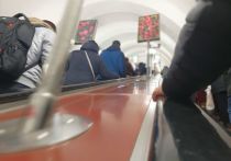 В общественном транспорте Петербурга теперь можно будет воспользоваться новыми выгодными тарифами. Об этом рассказали в пресс-службе комитета по транспорту.