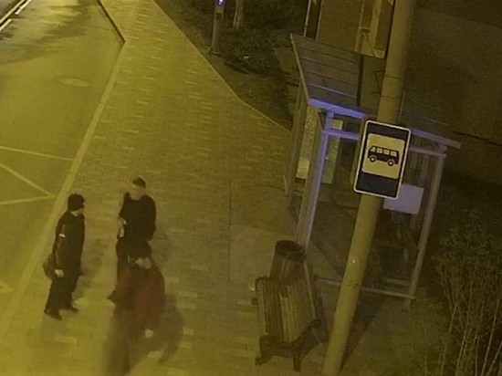 Разбившие остановку вандалы в Южно-Сахалинске попали на видео