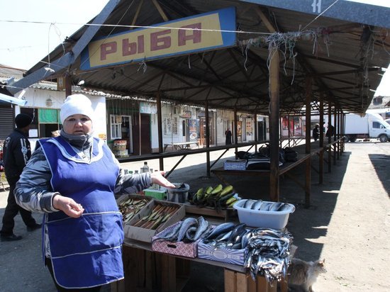 В Дагестане выработаны меры по увеличению популяции кутума