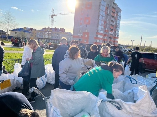 Шесть акций по приему вторсырья от зоозащитников пройдет в июне в Вологде