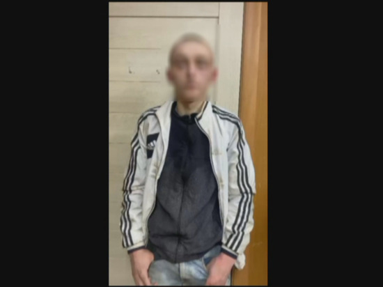 В Рязани задержали подозреваемых в серии краж из магазинов
