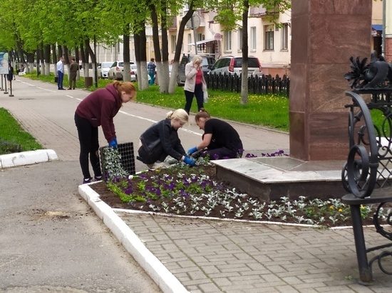 Более 140 тысяч цветов посадят в Вологде