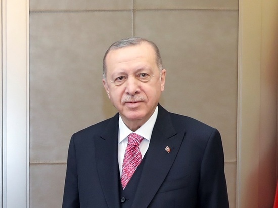 Эрдоган обвинил Францию и Германию в поддержке террористов