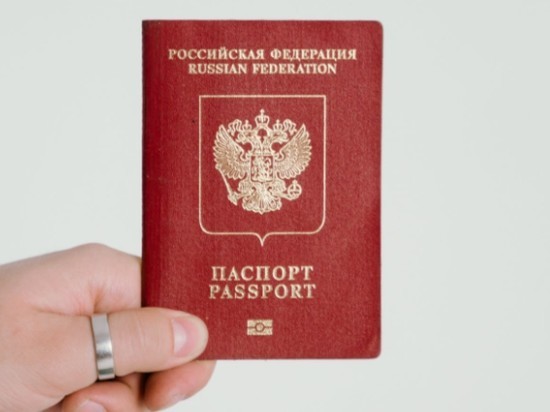 На Украине сложивший оружие комбат ВСУ захотел получить гражданство России