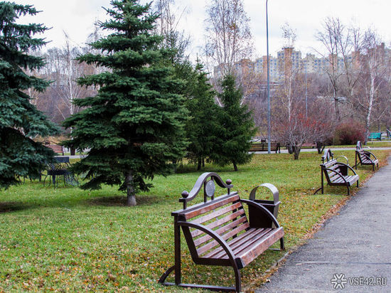 Кемеровчане пожаловались главе города на состояние парка
