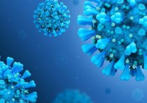 За сутки в России выявлено 4,2 тысячи новых случаев коронавируса
