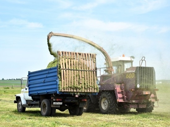 В Чувашии 35 фермеров выиграли грант «Агростартап»