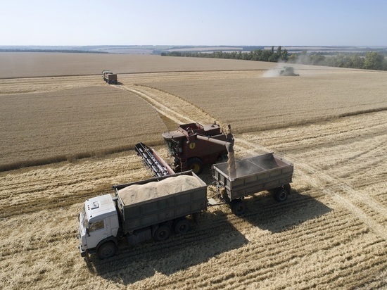 ФАО заявила о невозможности заменить поставки продовольствия из России и Украины