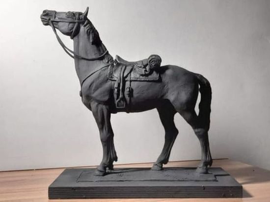 Радий Хабиров рассказал об уникальном проекте местных инициатив – памятнике коню-герою