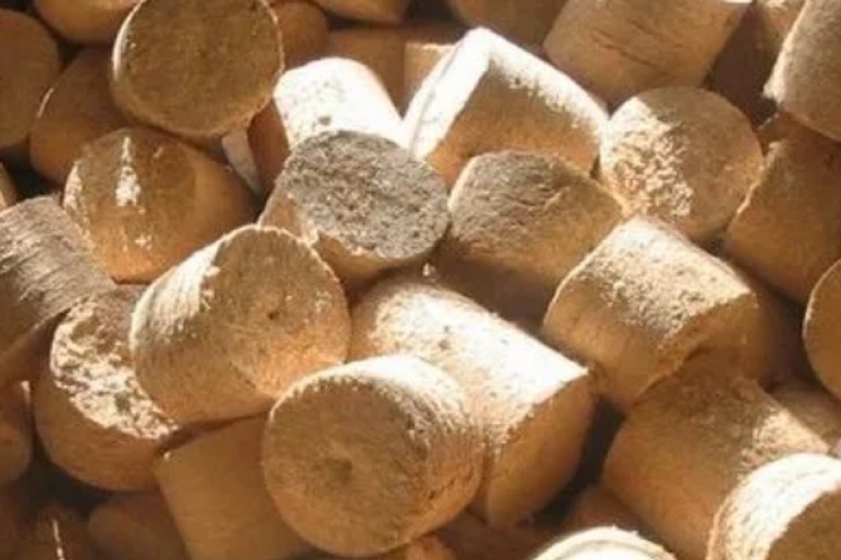 Отходы в доходы: костромской деревообрабатывающий завод будет выпускать топливные брикеты