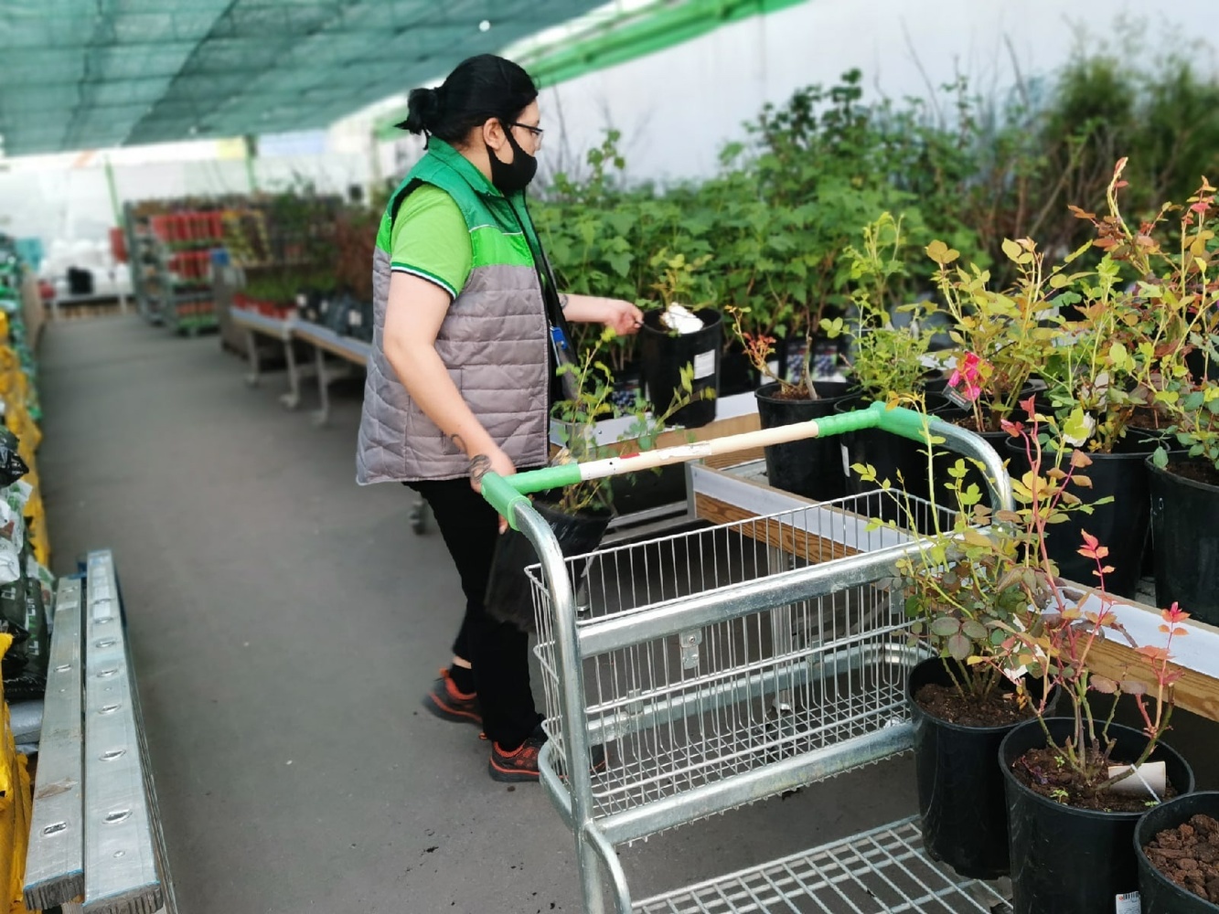 Дача и сад: какие товары для участков закупают жители в магазинах Хабаровска