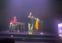 Семикратная обладательница "Грэмми" американская певица Билли Айлиш во время своего выступления в немецком Бонне исполнила песню с флагом Украины в руках под громкие крики восхищенных фанаток