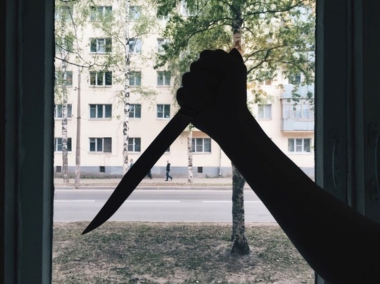 Житель Вологды, убивший сожительницу в реабилитационном центре, предстанет перед судом