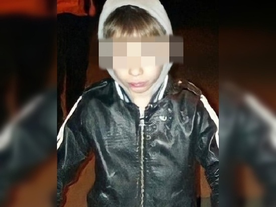 Пропавший в Ростове мальчик найден живым