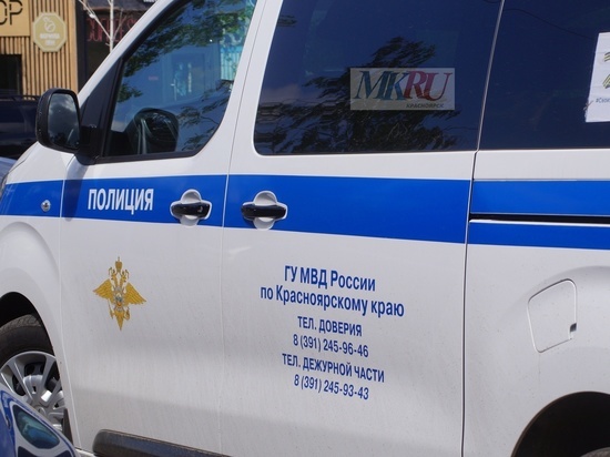 В полиции Красноярского края прокомментировали сообщение о закупке VPN за 115 миллионов