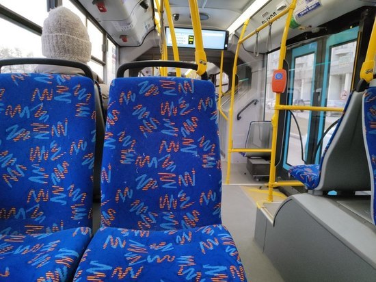 Чистые, аккуратные, можно зарядить телефон: петербуржцы оценили плюсы новых автобусов