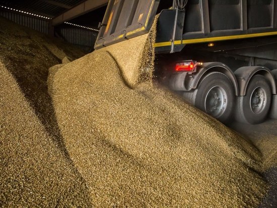 В Кузбассе собрали рекордный урожай зерна