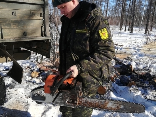 Двое забайкальцев вырубили лес на 1,6 млн р в Читинском районе