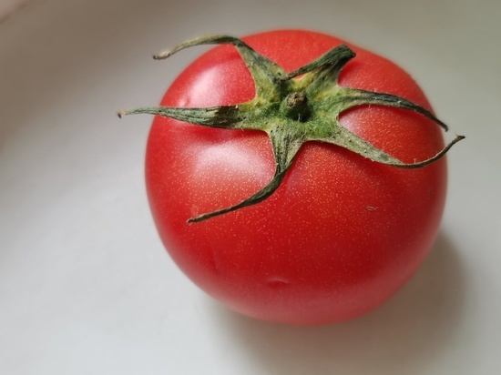 Три лучших народных средства для крепкой рассады помидоров