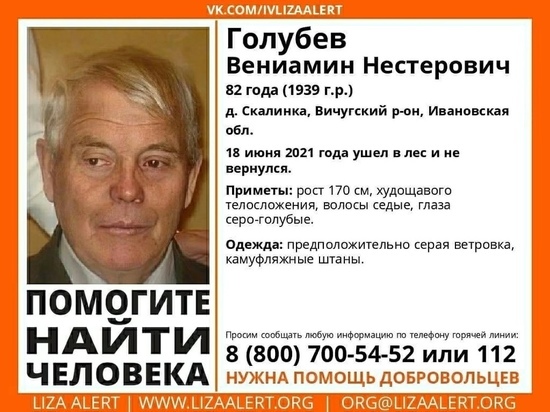 В Ивановской области возобновили поиски мужчины, пропавшего прошлым летом