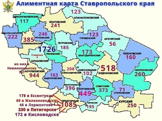 Ставрополь и Невинномысск лидируют по числу должников-алиментщиков в крае