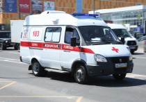 По поручению мэра Москвы Сергея Собянина к бизнес-центру «Гранд Сетунь Плаза» были направлены 15 бригад станции «скорой помощи» и Центра экстренной медицинской помощи