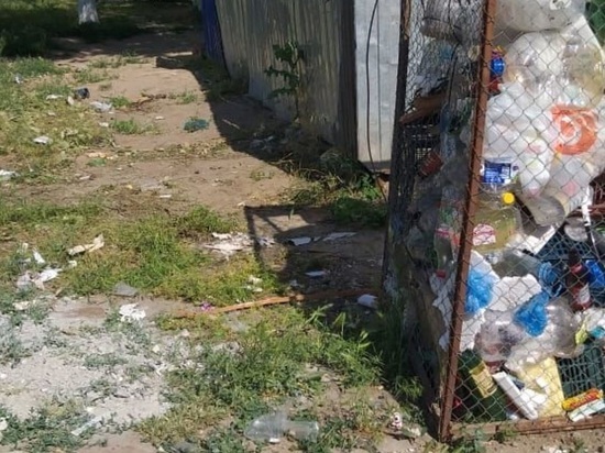 В Элисте провели акцию «Чистый четверг»